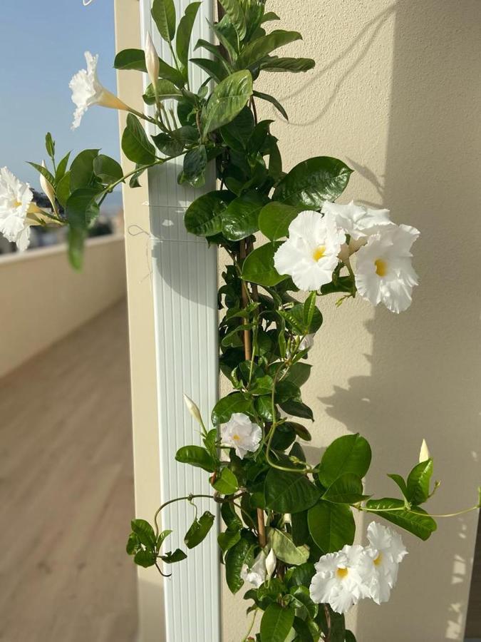 Rossini Penthouse Daire Cagliari Dış mekan fotoğraf
